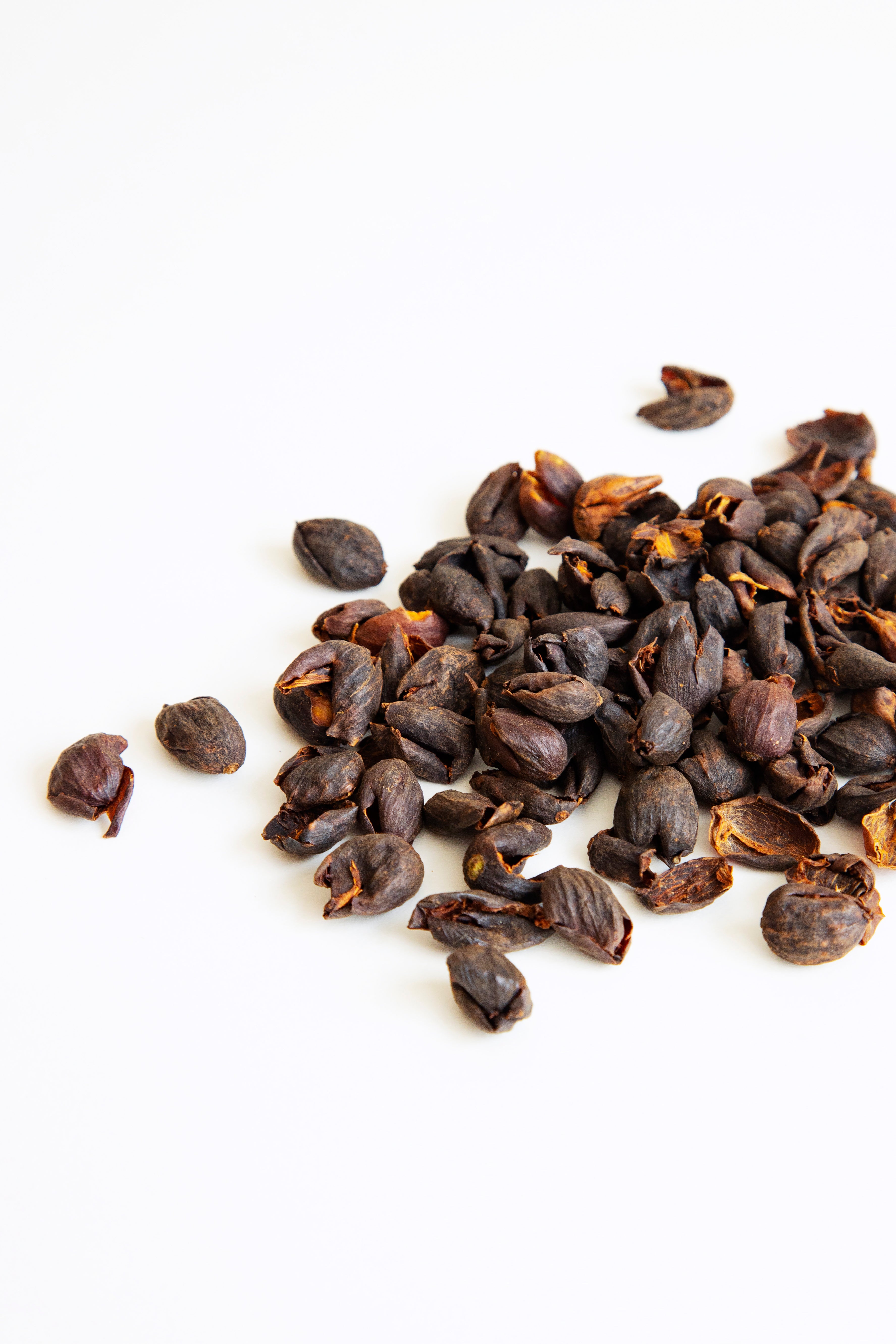 Qishr Tea (Coffee Cherry Husk)