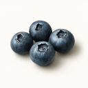 Blueberries