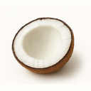 Coconut