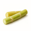 Sugar Cane